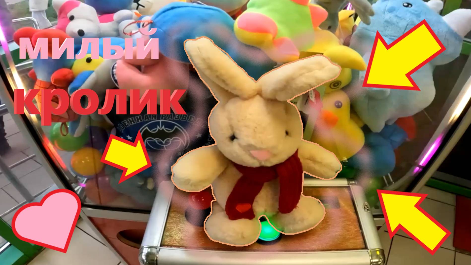 ВЫИГРАЛ милого КРОЛИКА в первом автомате-хватайке любимого владельца!!!