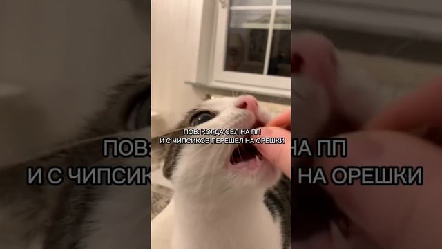 Жиза с ПП😂😂😂😂😂