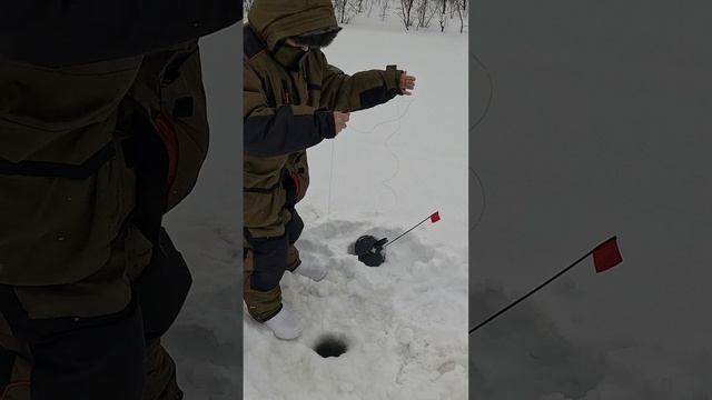 ЗИМНЯЯ ЛОВЛЯ ФОРЕЛИ