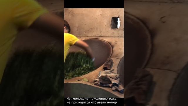 Как выглядит производство на заводике в Лао Манье #shorts