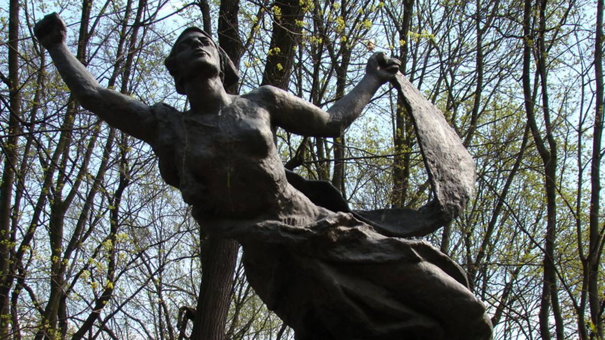 Вокруг Аникушина