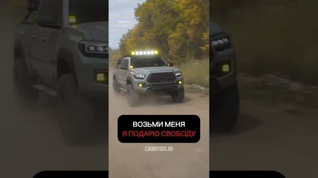 CJK Motors: Автомобили с характером — выбери своего спутника! #automobile