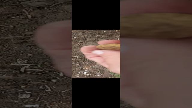 3 копейки 1943 года