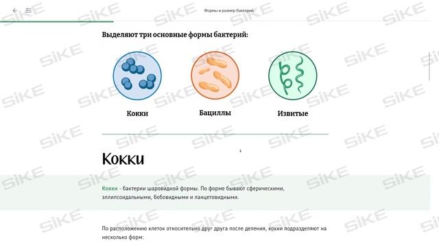 Общая микробиология - Морфология и классификация микроорганизмов - Электронный курс SIKE