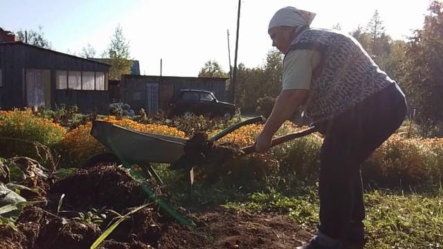 Без воды, и не туды и не сюды//Готовлю грядку к посадке.