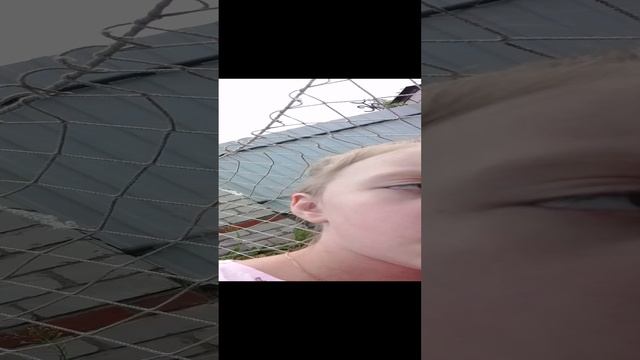 рассказываю