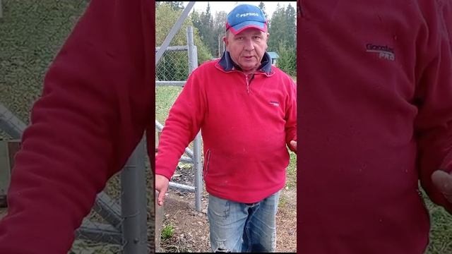 Отчёт рыбака за 4 октября 2024