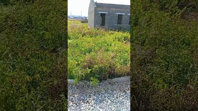 д. Мокино #Shorts