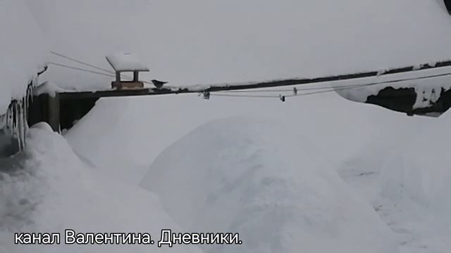 354 Покормите птиц зимой. Пусть со всех концов, к Вам слетятся, как домой, стайки на крыльцо.