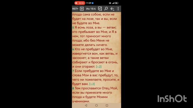 Вопрос ❔ Ты дикое растение или привитая на древе Иешуа?
