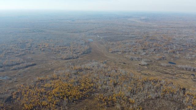 Запуск птички в тайге 2