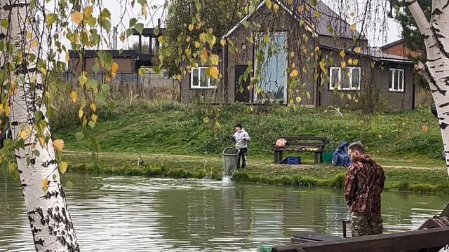 Седьмой хвост в зачете