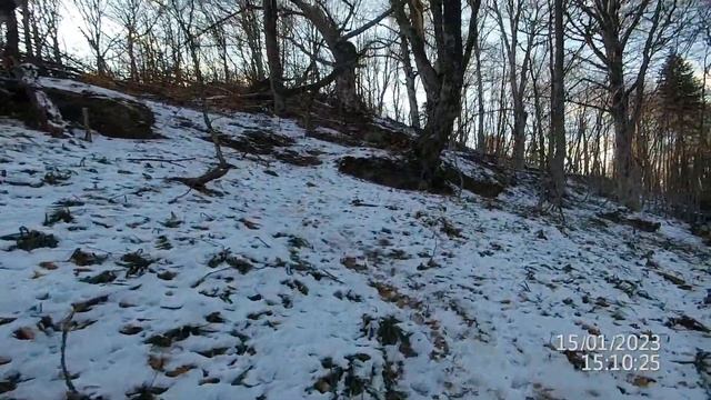 г.Монах п.Хамышки. 15.01.2023г