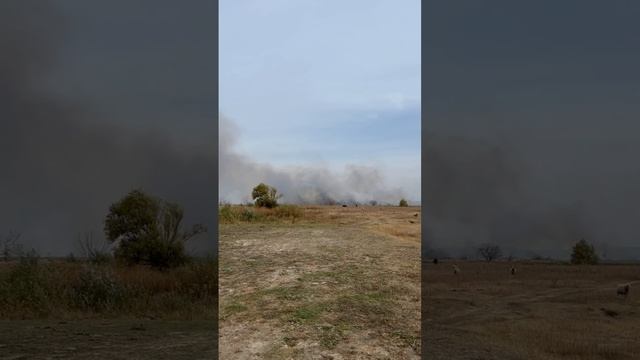 Ещё кадры из села Парусное, где горят поля.