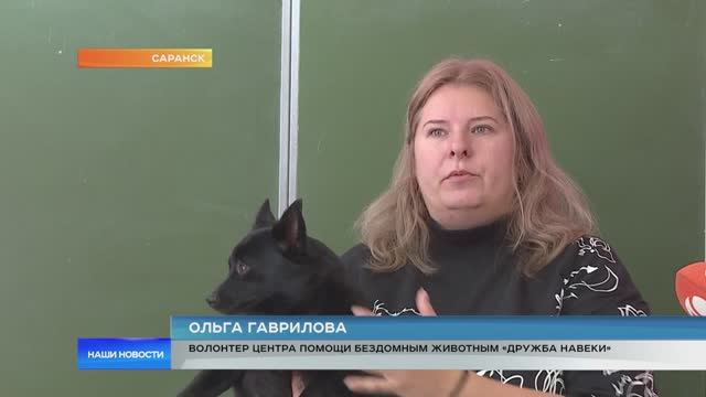 «Уроком доброты» ученики 28-й школы отметили День защиты животных