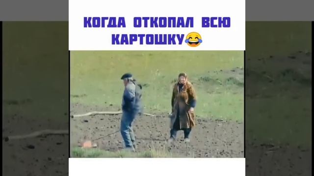 Когда выкопал всю картошку на даче