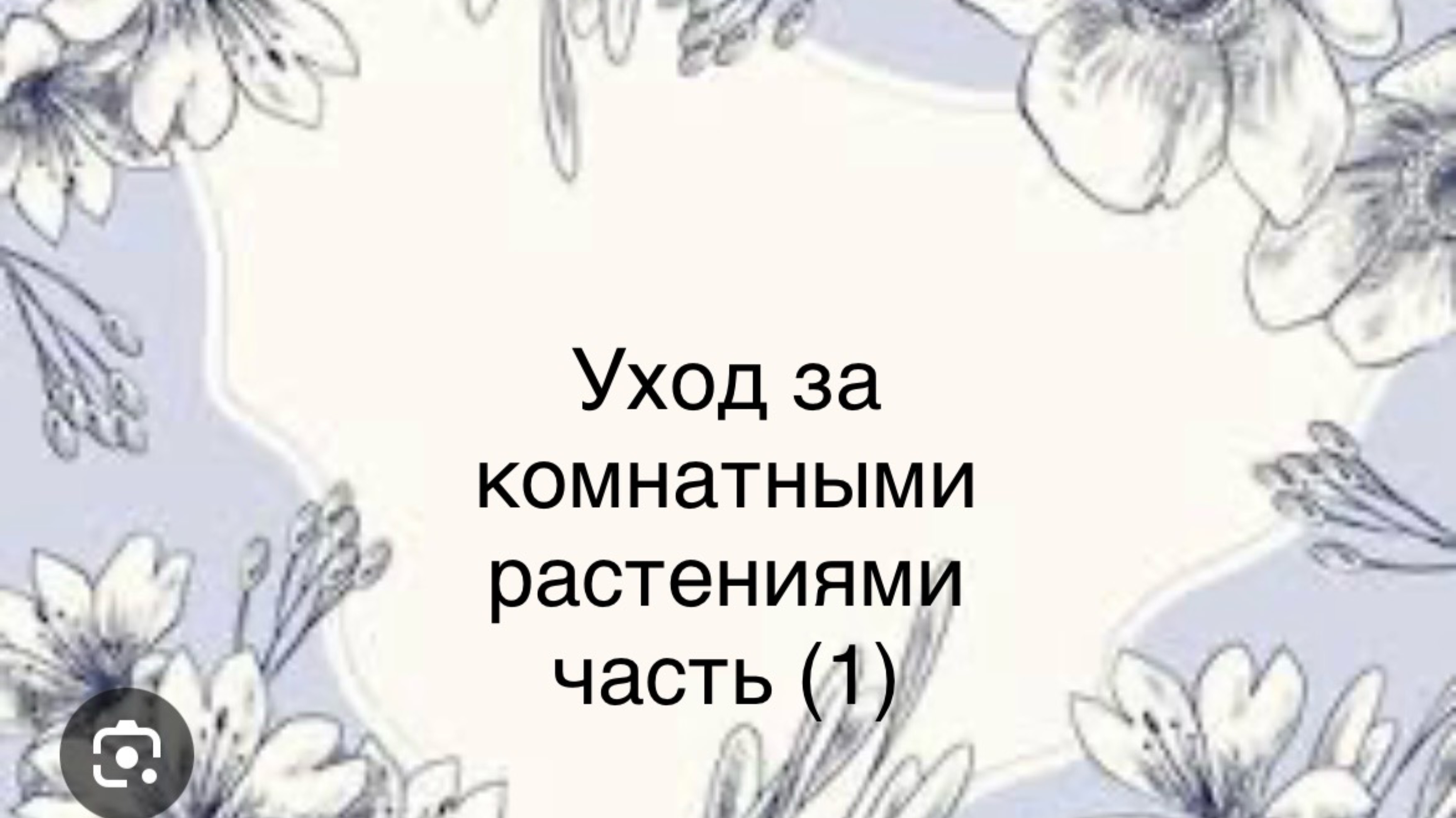 Уход за комнатными растениями часть (1)