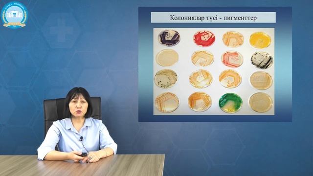 Бактериялардың дақылдық қасиеттерін зерттеу