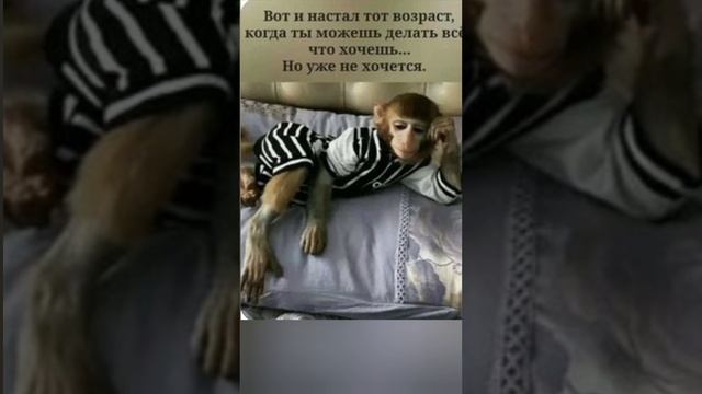 развлечения