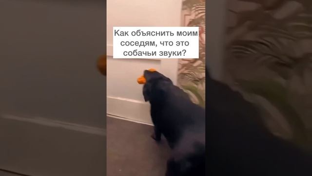 Пусть думают, что хотят