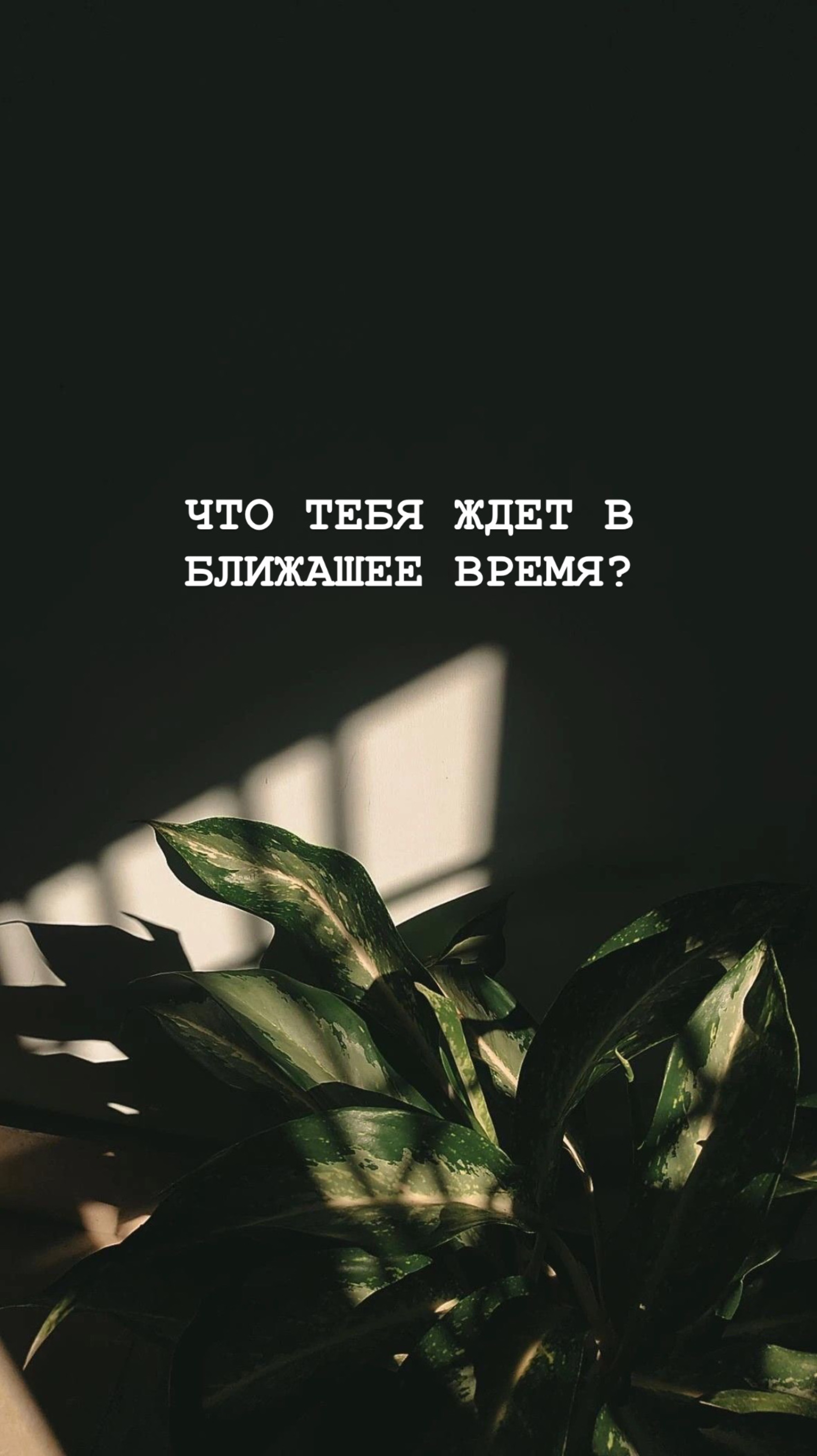 Что ждет с ближайшее время?