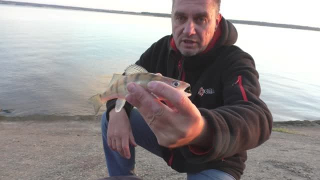 Ловля судака на спиннинг, 25 сентября. Забросил приманку у яму. Осенняя рыбалка на реке
