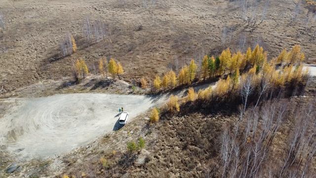 Запуск птички в тайге 3