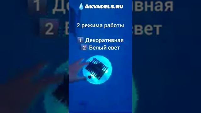 Освещение для бассейна подсветка Интекс 28695 Безопасно, без проводов, работает на солнечной батарее