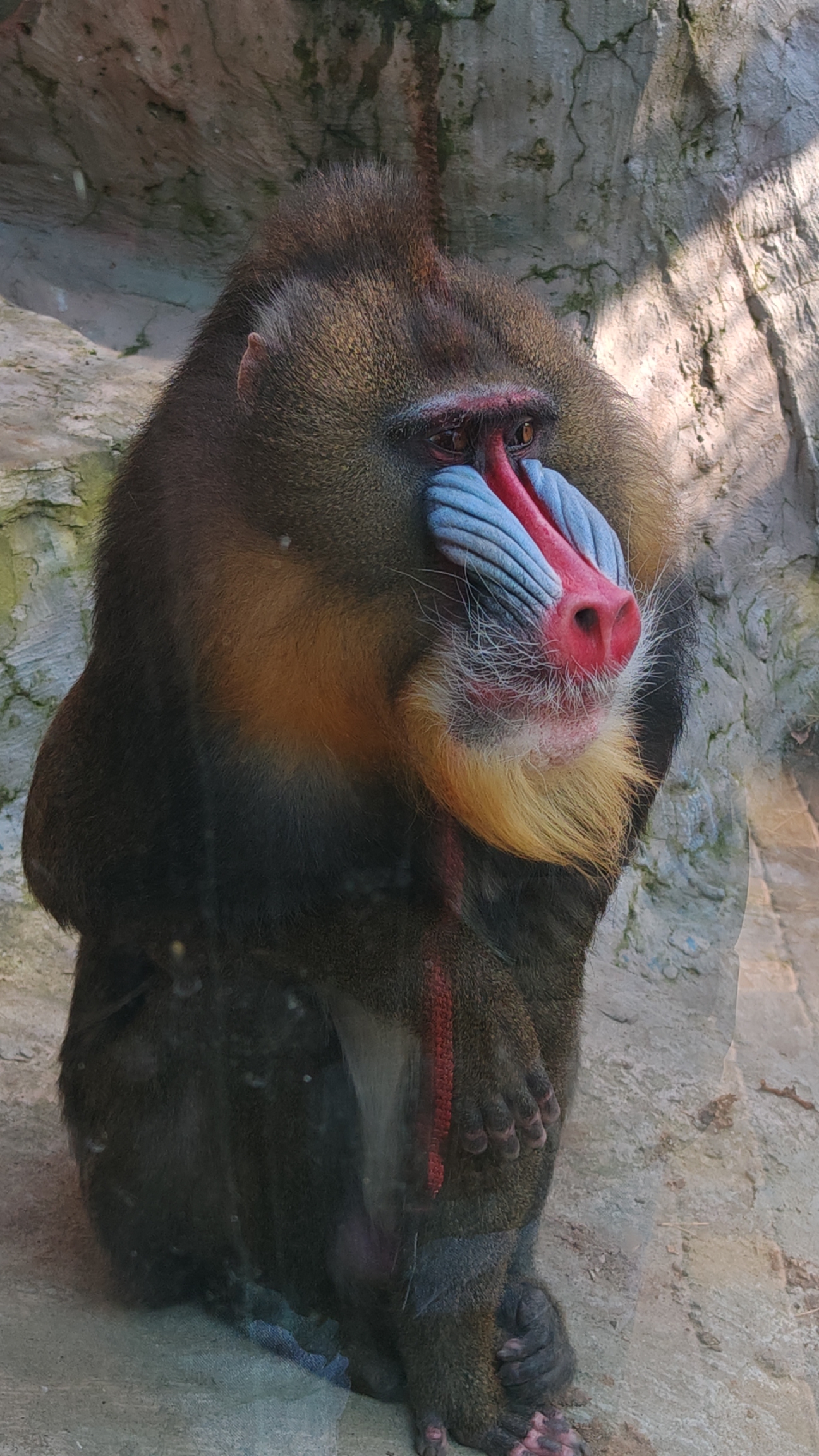 Октябрь, пятница, зоопарк 🐘