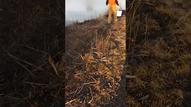 Добавь жизни в водоем (4)