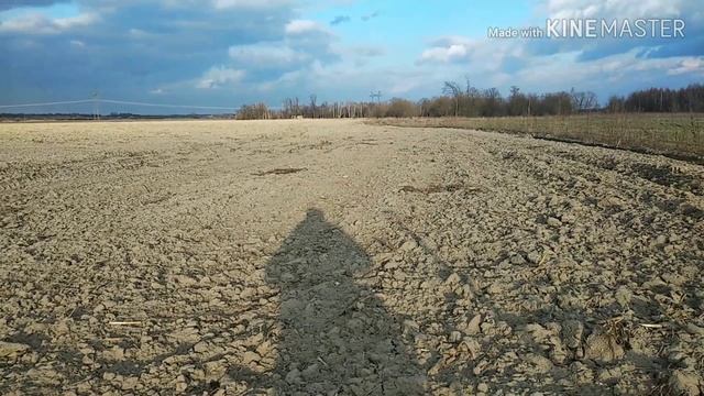 #КопUA_розвідка нового місця і обновочка  катушка Nel Tornado