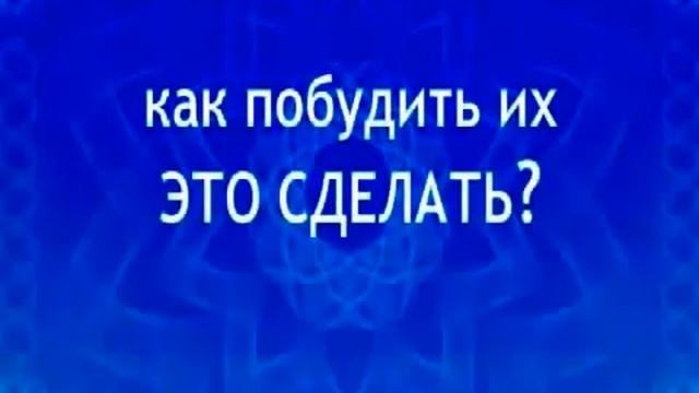 Хватит жить как бомж начни жить как король