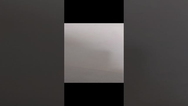 я выпил нефть