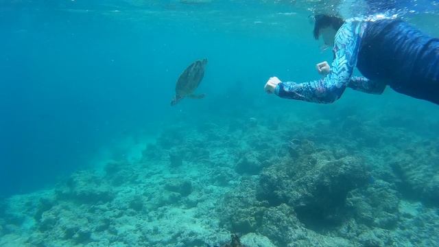 Снорклинг с морской черепашкой @ Бандос, Мальдивы