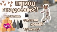 Мотивация на уборку 🧹/ период гнездования 🪺 / большая распаковка WB 🛒/ осваиваем беговел 🚲