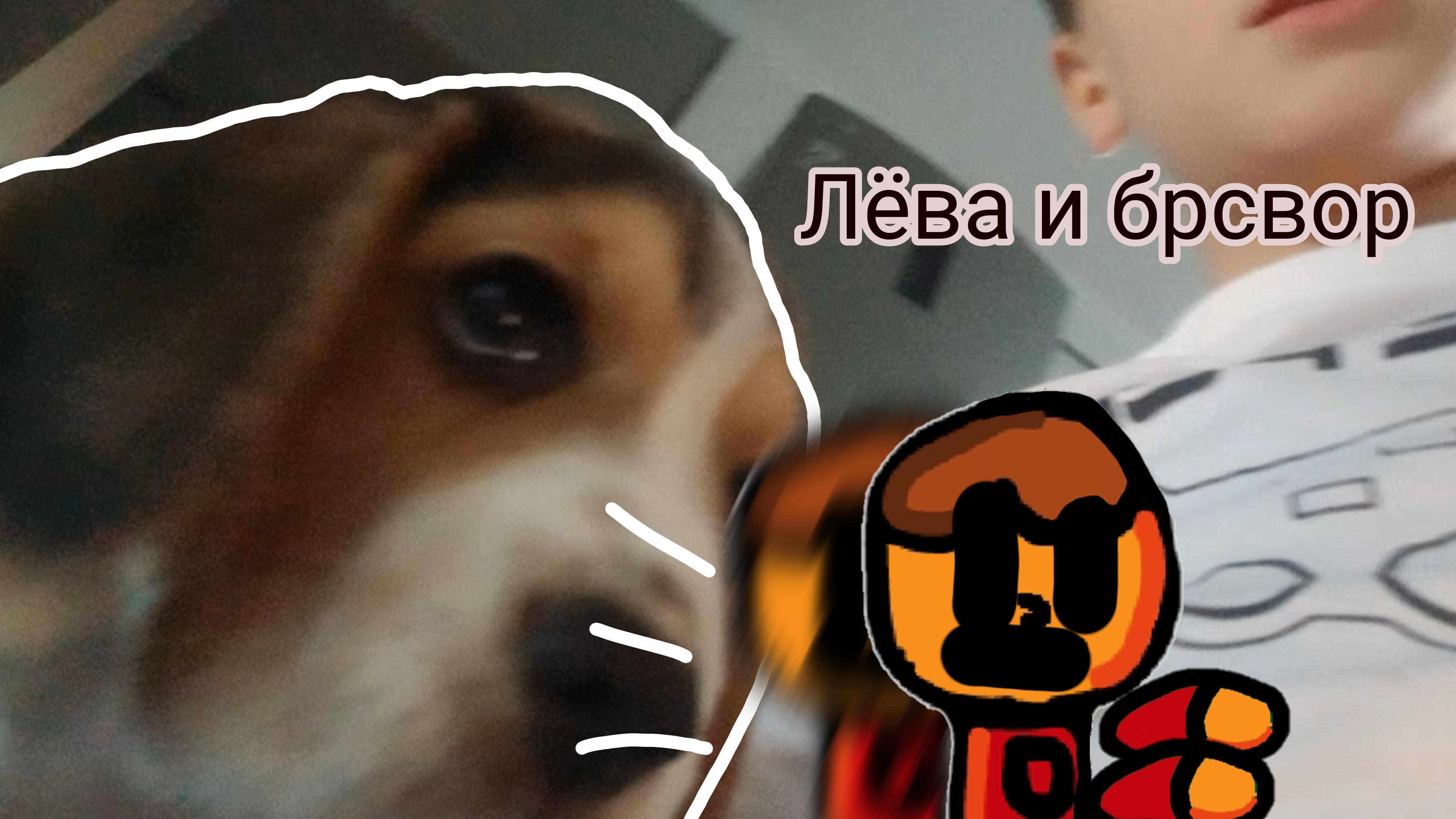 моя собака 🐕 я устал!!!!