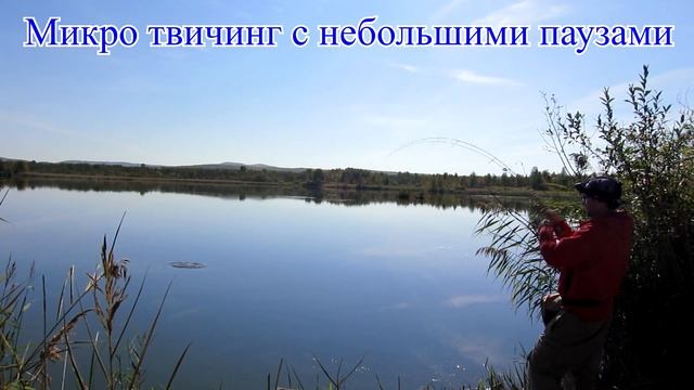 Lucky Craft Pointer 48SP Вкусный воблер