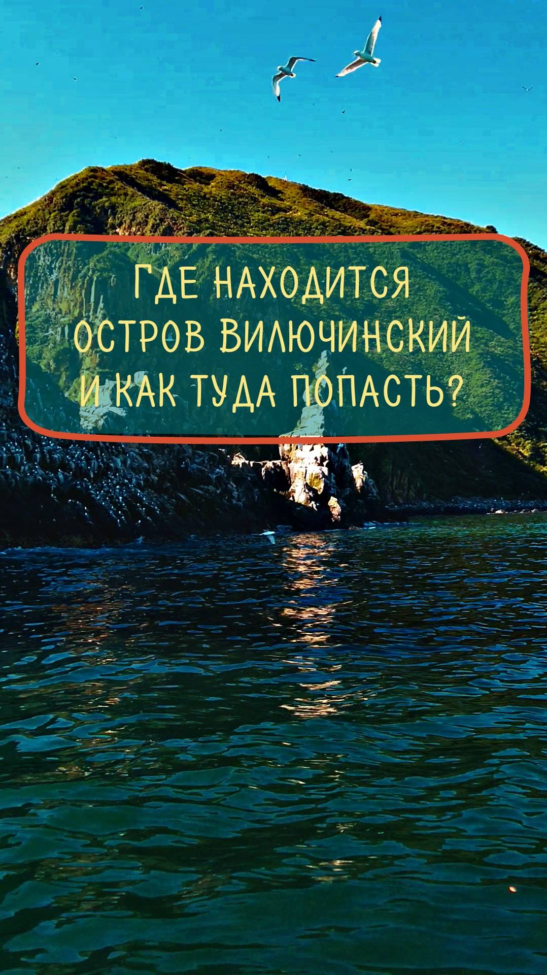 Где находится о. Вилючинский и как туда попасть? @okeanygor #вместепокамчатке 🌊🌋