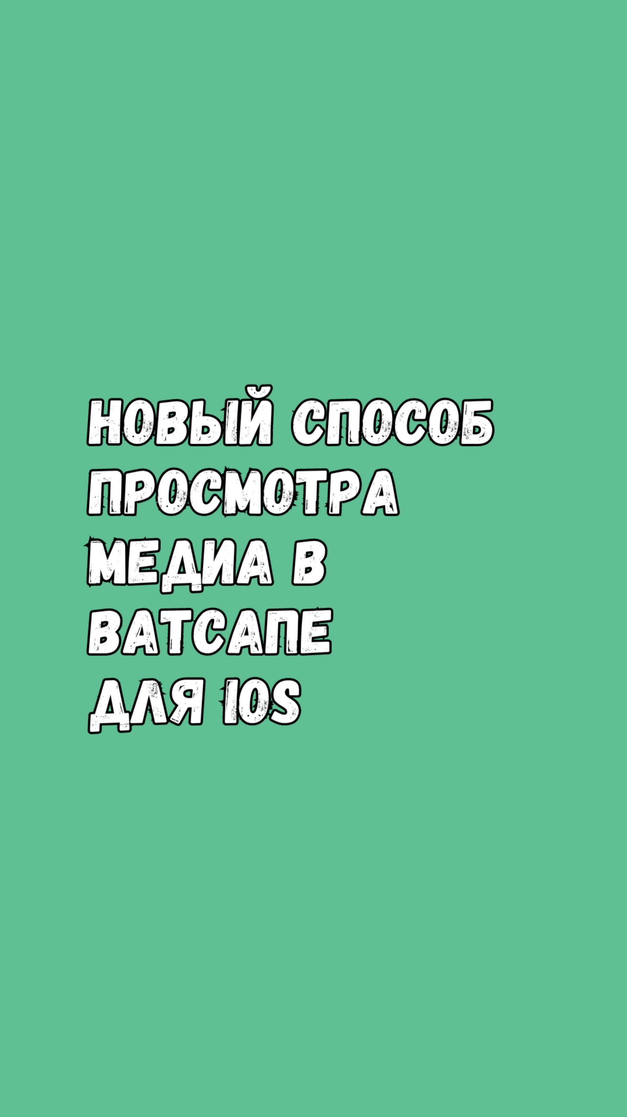 Новый Способ Просмотра Медиа В WhatsApp Для iOS