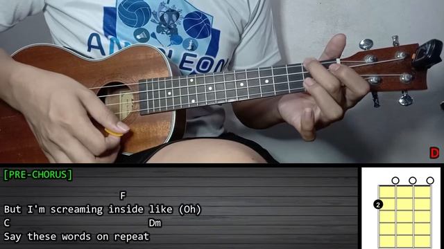 Alan Walker – FAKE A SMILE | Ukulele Tutorial | LYRICS and CHORDS | Cover