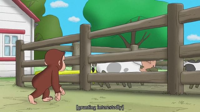 Curious George - 318 - Hide and Go Sheep (Learn English Language with subtitles)