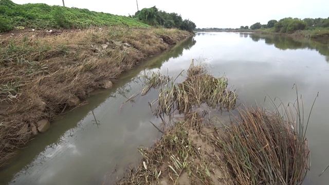 Охота с Рогаткой на реке SLINGSHOT FISHING