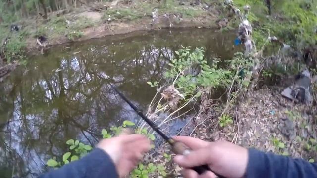 SPRING BREAK FINESSE in a Tiny Creek - Bass Assassin Tapout - #bassfishing