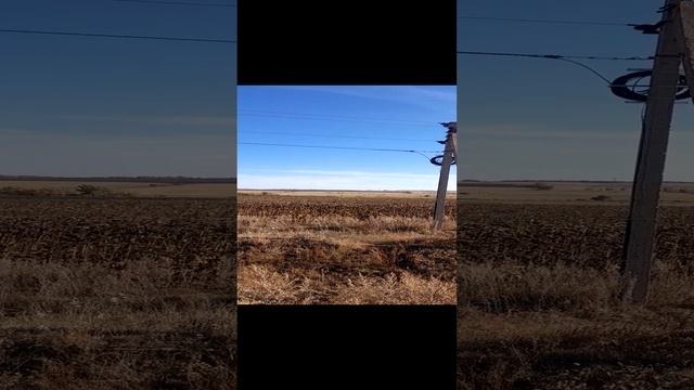 1000030063.mp4Сар.обл.05.10.2024г.