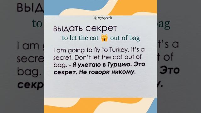 To let the cat out of bag