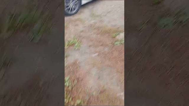 VID-20241005-WA0001