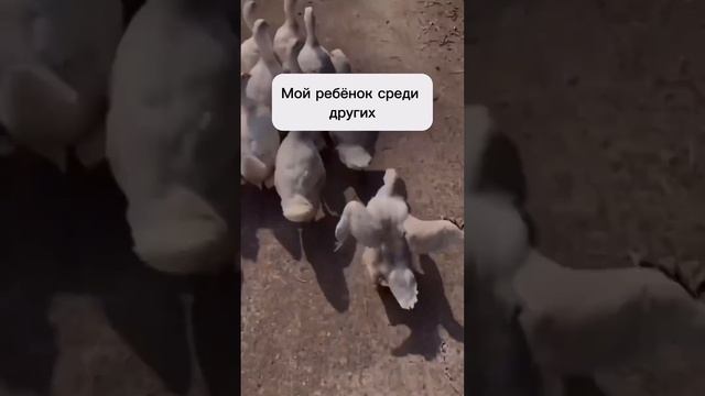 И в школе хочется быть красивой 🥰