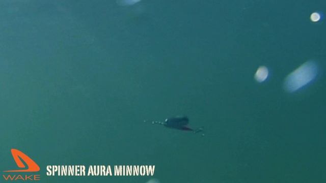 Wake Aura Minnow Spinner