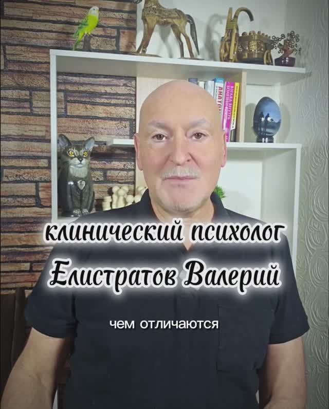 Чем отличаются чувства от эмоций?