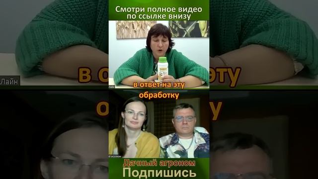 Усыхают ветки вишни и абрикоса? ВОТ СРЕДСТВО которое рекомендуют эксперты